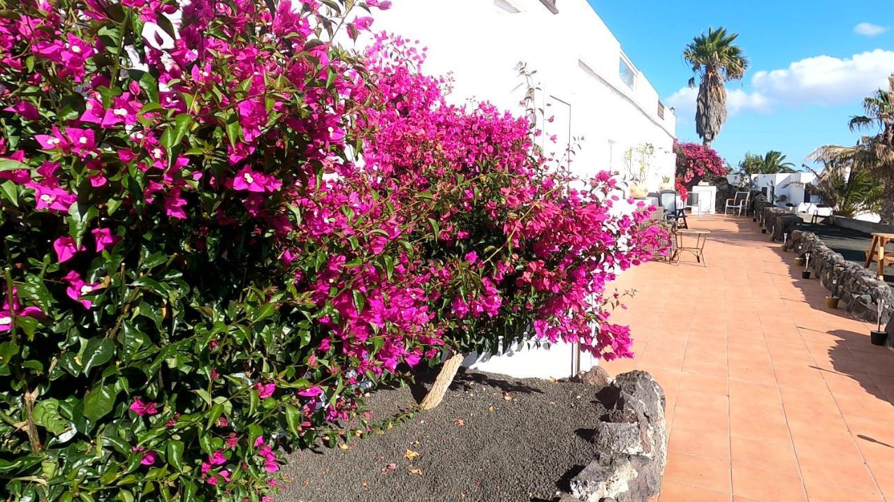 דירות La Asomada  Rosa Eden מראה חיצוני תמונה